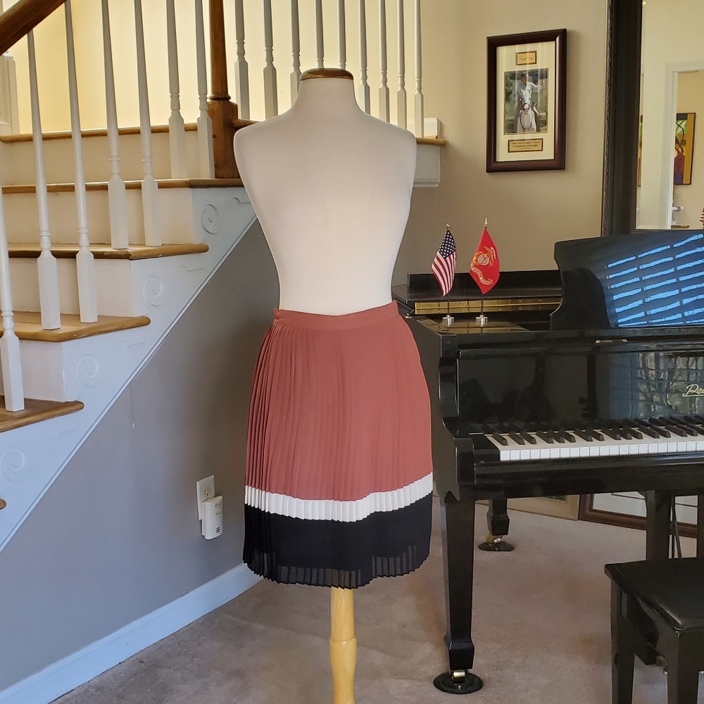 Forever XXI Pleated Chiffon Skirt